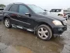 2006 Mercedes-Benz ML 500