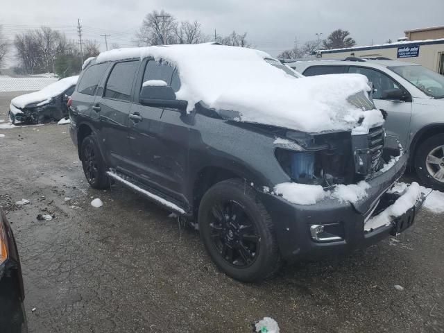 2019 Toyota Sequoia SR5