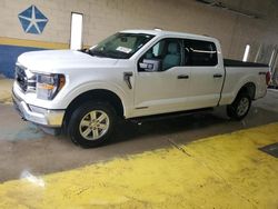 Ford salvage cars for sale: 2023 Ford F150 Supercrew