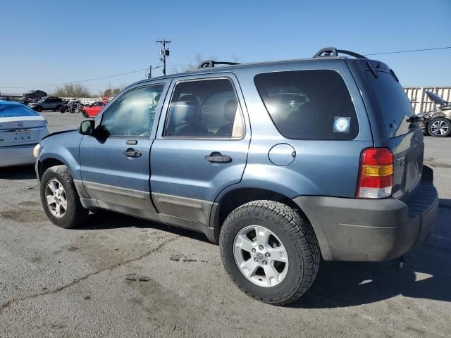 2005 Ford Escape XLT