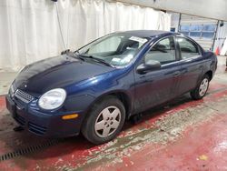 Salvage cars for sale at Angola, NY auction: 2005 Dodge Neon Base