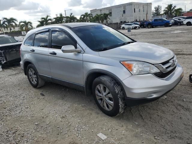 2010 Honda CR-V EXL