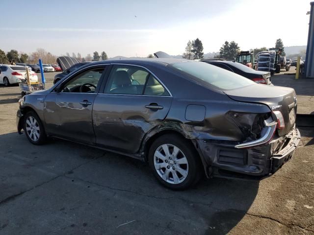 2007 Toyota Camry Hybrid