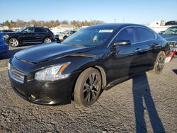 Salvage cars for sale at Pennsburg, PA auction: 2009 Nissan Maxima S