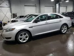 Salvage cars for sale at Ham Lake, MN auction: 2016 Ford Taurus SE