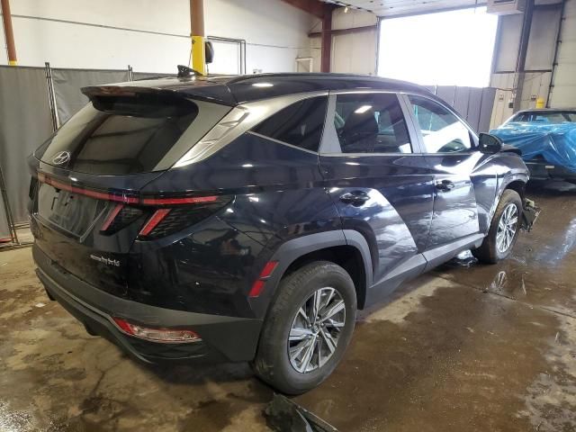 2022 Hyundai Tucson Blue