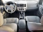 2007 Ford Escape XLT