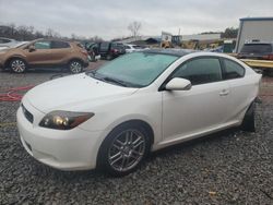 Scion salvage cars for sale: 2008 Scion TC