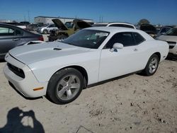 Salvage cars for sale at Haslet, TX auction: 2010 Dodge Challenger SE