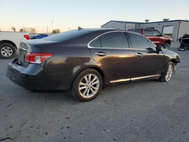 2010 Lexus ES 350