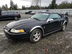 Ford Vehiculos salvage en venta: 2004 Ford Mustang