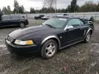 2004 Ford Mustang