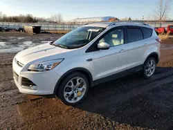 Salvage cars for sale at Columbia Station, OH auction: 2016 Ford Escape Titanium