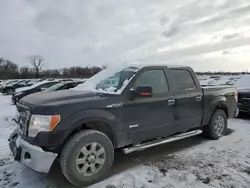 Ford salvage cars for sale: 2013 Ford F150 Supercrew