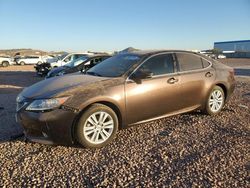 Salvage cars for sale at Phoenix, AZ auction: 2013 Lexus ES 350