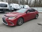 2020 Lexus ES 350 Luxury