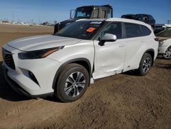 Salvage cars for sale at Brighton, CO auction: 2024 Toyota Highlander LE