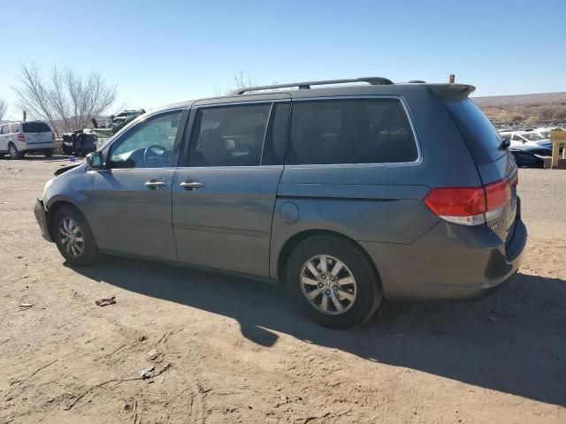 2008 Honda Odyssey EXL