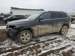 Salvage SUVs for sale at auction: 2014 Jeep Grand Cherokee Laredo