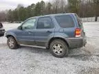 2005 Ford Escape XLT