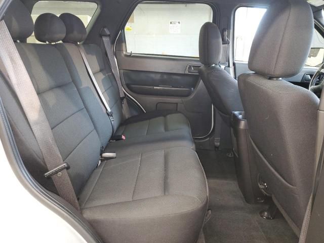 2009 Ford Escape XLT