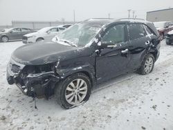 Salvage cars for sale at Appleton, WI auction: 2011 KIA Sorento EX