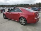 2013 Cadillac CTS Premium Collection