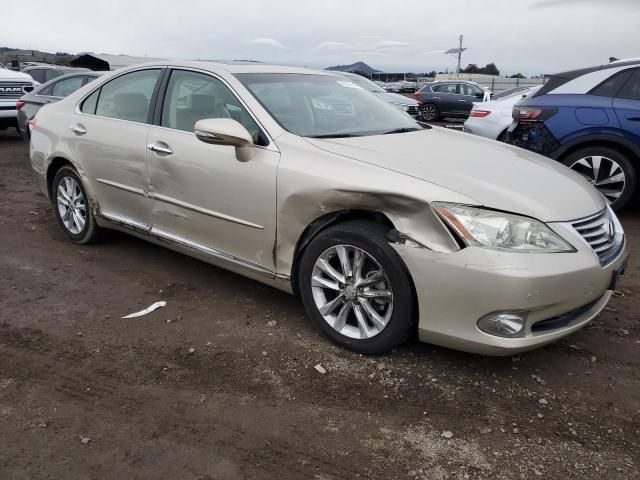 2010 Lexus ES 350