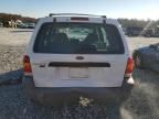 2001 Ford Escape XLT