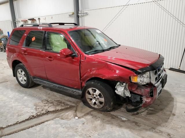 2009 Ford Escape Limited