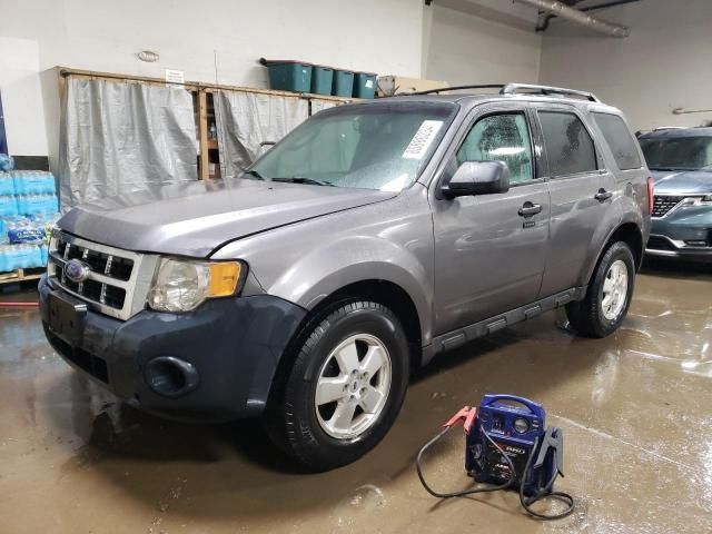 2011 Ford Escape XLT