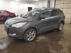 2015 Ford Escape SE en venta en Ham Lake, MN