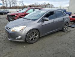 Salvage cars for sale at Spartanburg, SC auction: 2014 Ford Focus SE