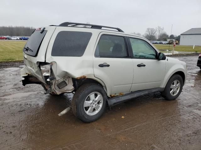 2009 Ford Escape XLT