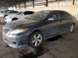 2010 Toyota Camry SE en venta en Phoenix, AZ