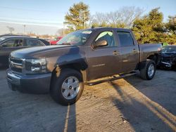 2010 Chevrolet Silverado K1500 LT en venta en Lexington, KY