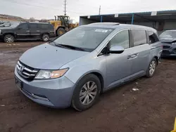 Salvage cars for sale at Colorado Springs, CO auction: 2014 Honda Odyssey EXL