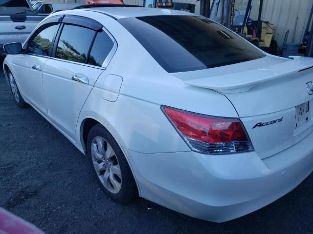 2008 Honda Accord EXL