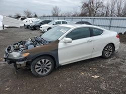 Salvage cars for sale from Copart Ontario Auction, ON: 2013 Honda Accord EXL