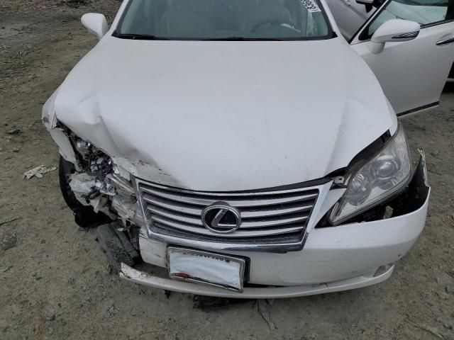 2010 Lexus ES 350