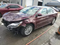 2015 Toyota Avalon Hybrid en venta en Lebanon, TN