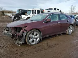 2011 Acura TSX en venta en Columbia Station, OH