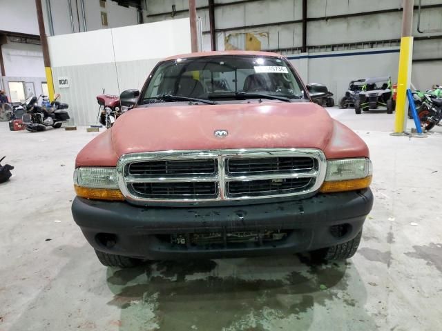 2004 Dodge Dakota SXT