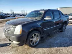 Salvage trucks for sale at Rocky View County, AB auction: 2013 Cadillac Escalade EXT Premium