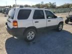 2005 Ford Escape XLT