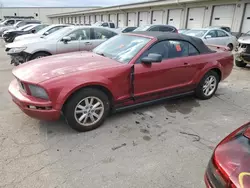 2005 Ford Mustang en venta en Louisville, KY