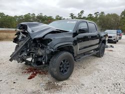 Salvage cars for sale from Copart Houston, TX: 2023 Toyota Tacoma Double Cab