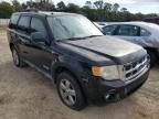 2008 Ford Escape XLT