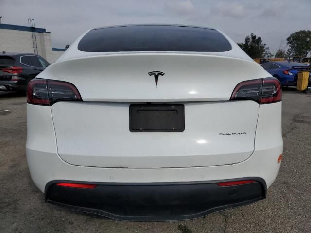 2020 Tesla Model Y