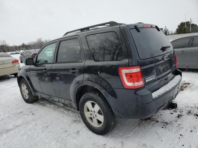 2010 Ford Escape XLT